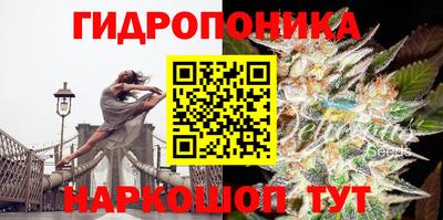 соль ск Малоярославец