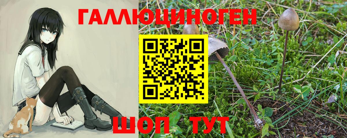 Псилоцибиновые грибы мицелий Верхняя Салда