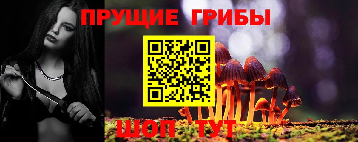 Верхняя Салда  Галлюциногенные грибы Psilocybe  Вход с VPN 